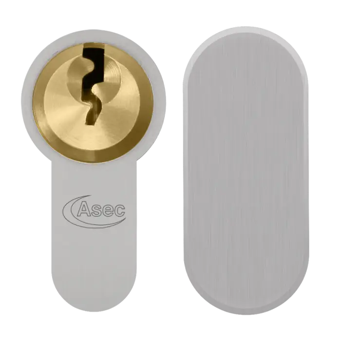 asec_1564_2.webp