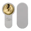 asec_1564_2.webp