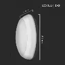 804-24-d.webp