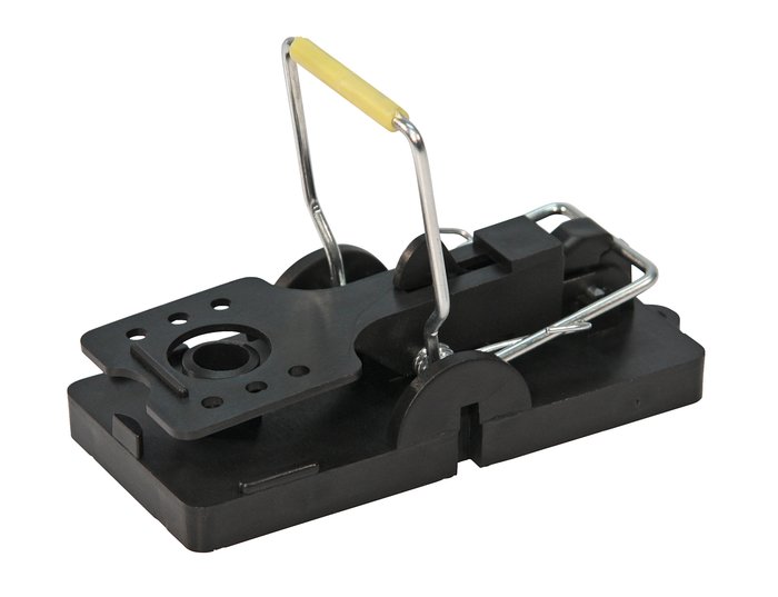 Plastic Mouse Trap
