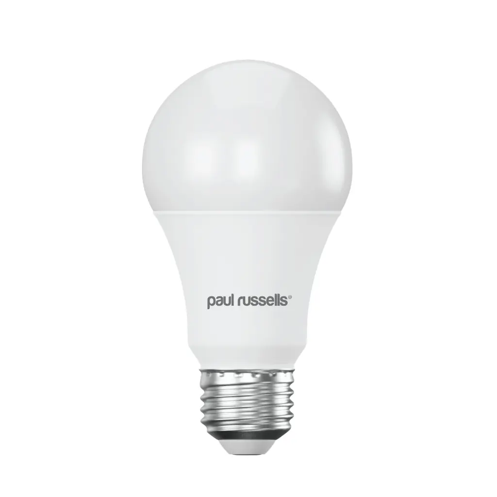 LED 13W=100W E27 Screw-In Day Light 6500K Bulbs 