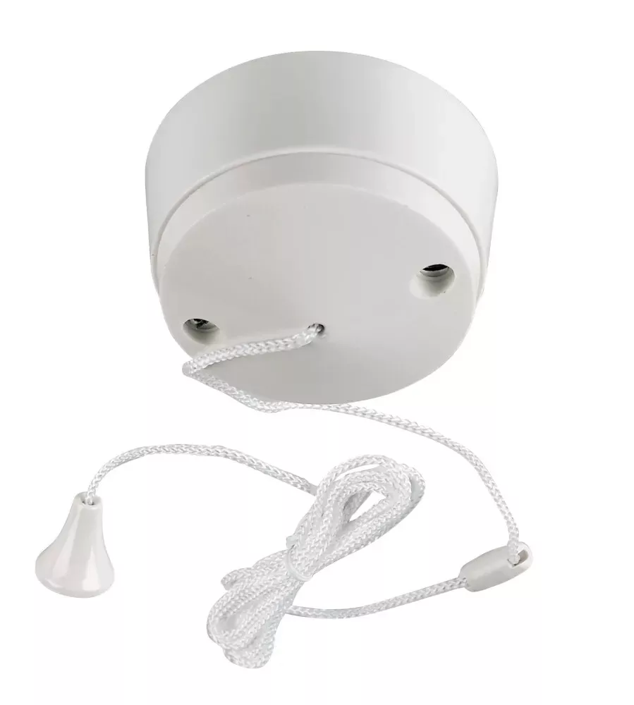 Thrion Light Pull Switch