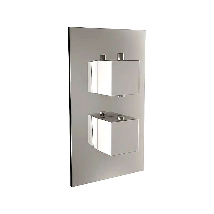 Shower Concealed Valve & Diverter Twin Square