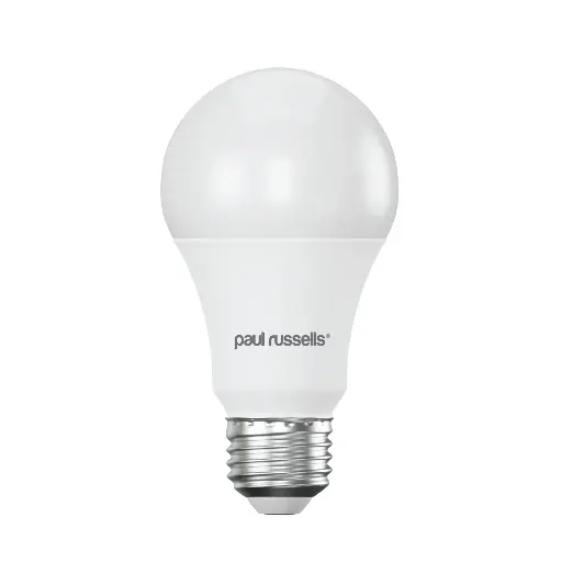 LED 13W=100W E27 Screw-In Day Light 6500K Bulbs 