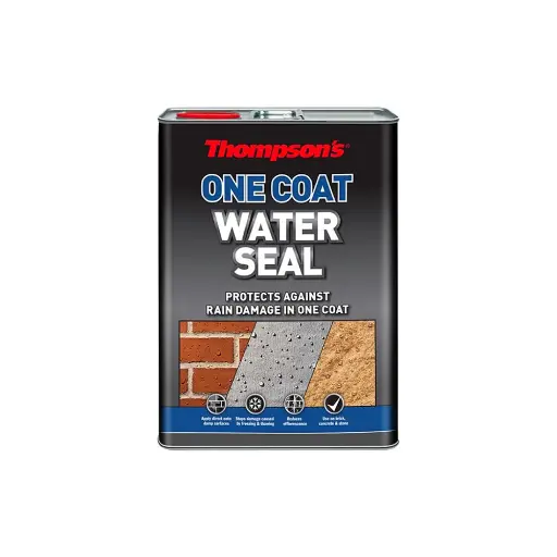 Thompson’s Water Seal One Coat Clear 5L