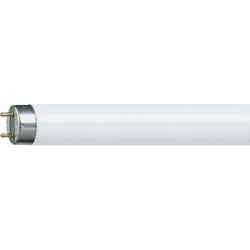OSRAM G13 T8 Fluorescent Tube 5ft