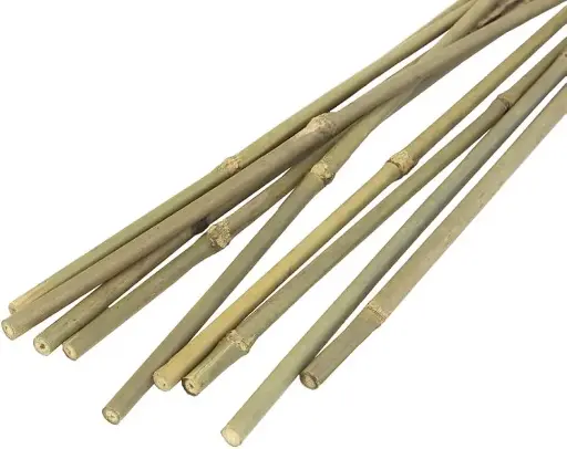 JVL Natural Bamboo Garden Canes Brown Pack of 20