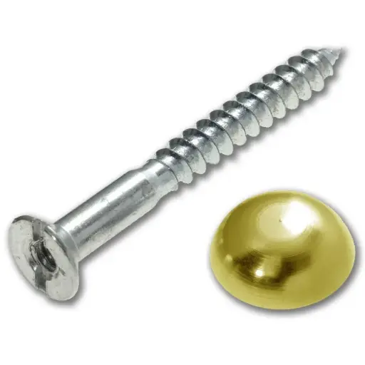 Netherwood Tools 25mm Mirror Screws  Brass Cover 4 Pack