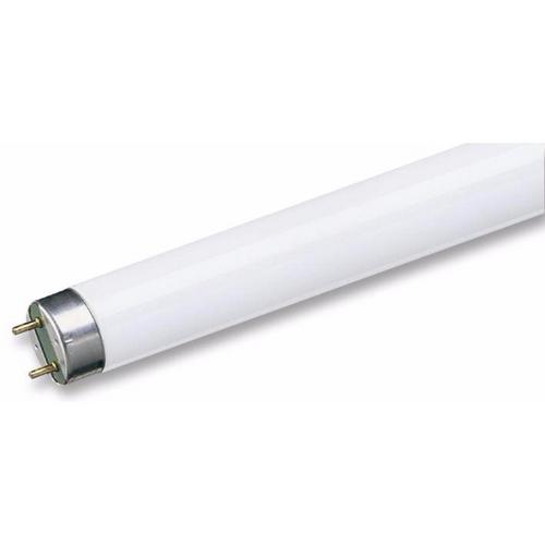 Crompton Lamps Fluorescent 3FT T8 Daylight F30W/865