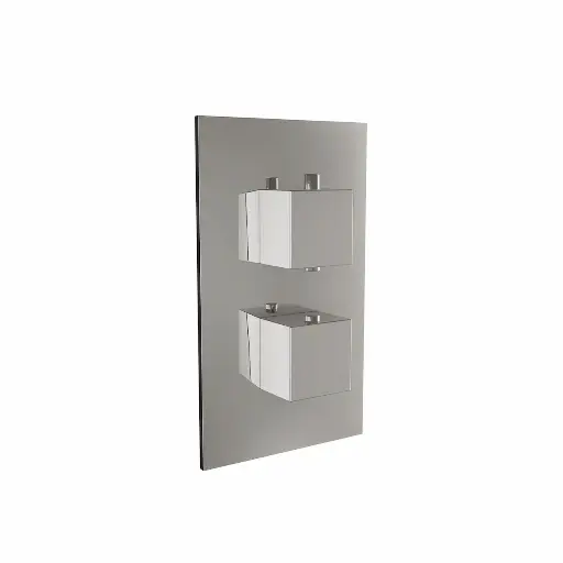 Shower Concealed Valve & Diverter Twin Square